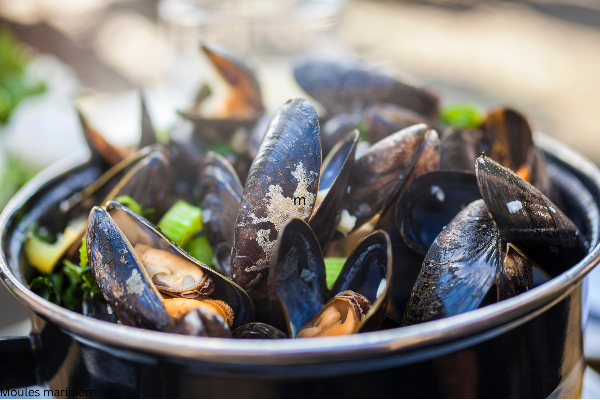 Midijos Moules Marinieres, prancūziškas bistro namie
