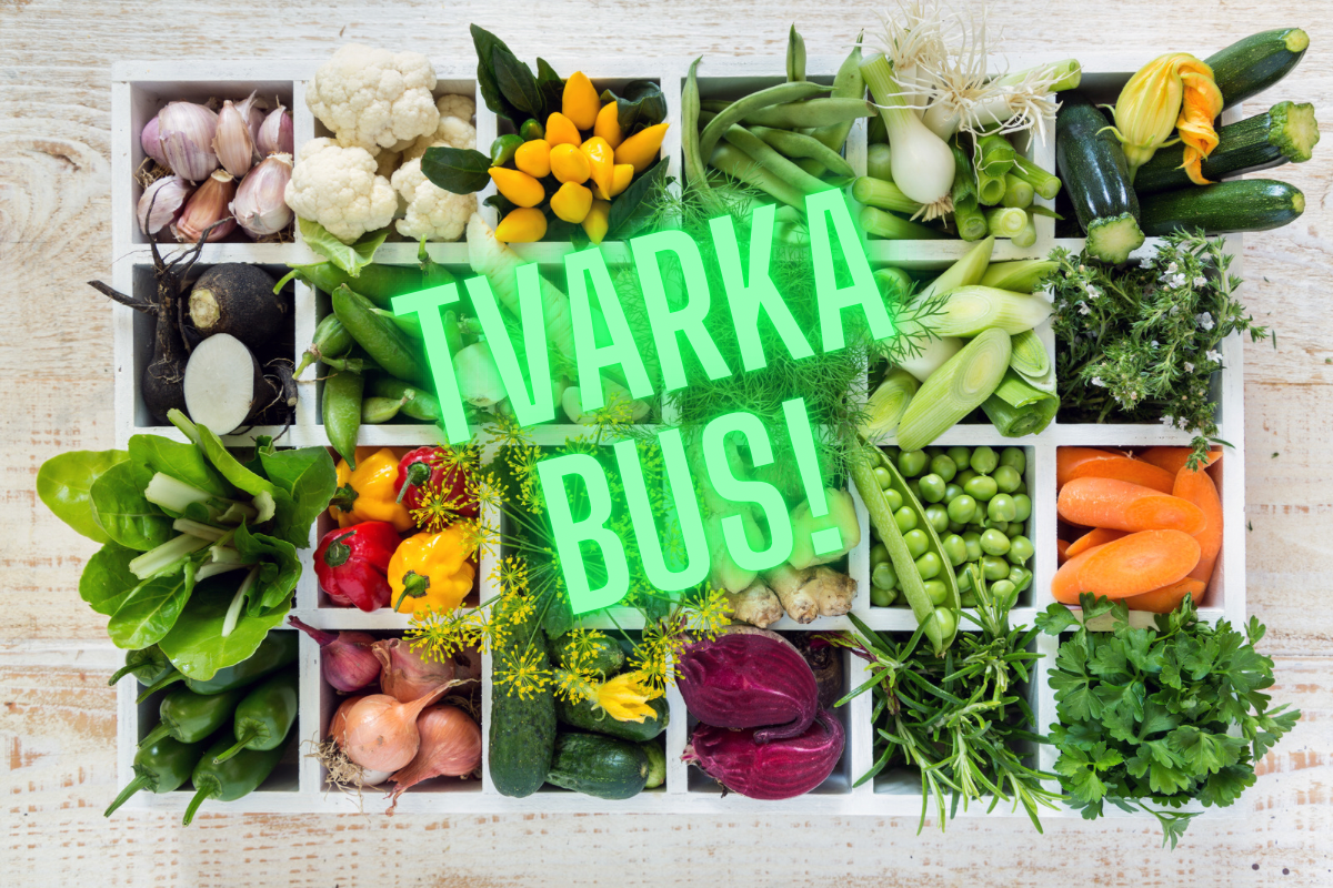 Tvarka virtuvėje ir virtuvės taisyklės